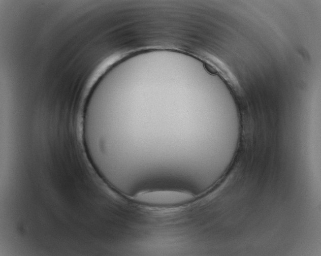 X0000116821188200912312010