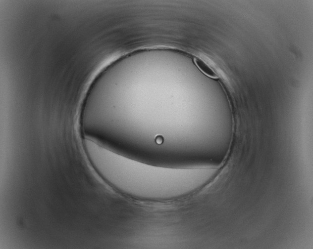 X0000116821189200912312009