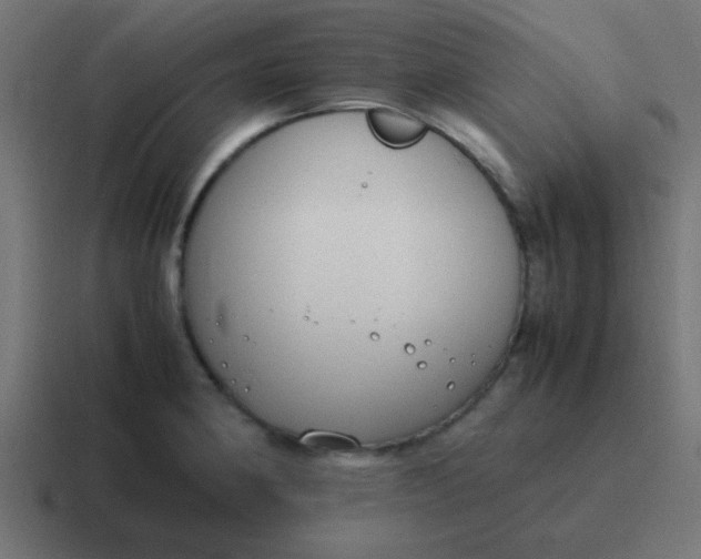 X0000116821190200912312009