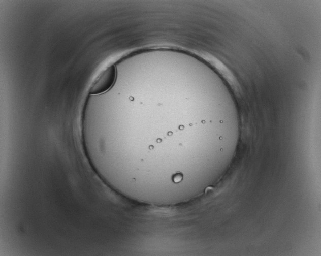 X0000116821191200912312009