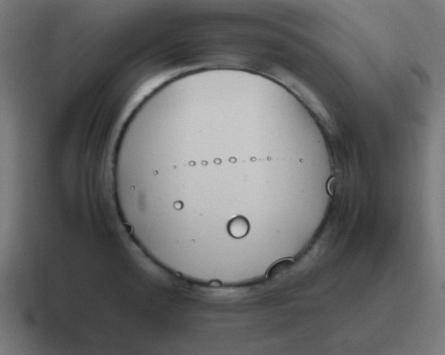 X0000116821192200912312009