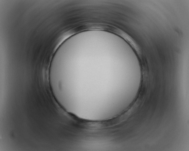 X0000116821194200912312009