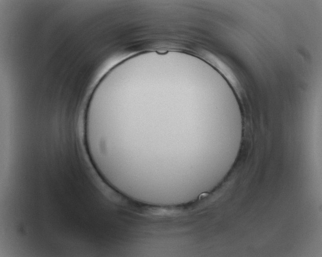 X0000116821195200912312009