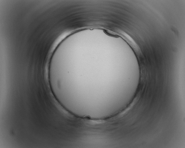 X0000116821196200912312009