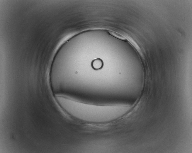 X0000116821197200912312009