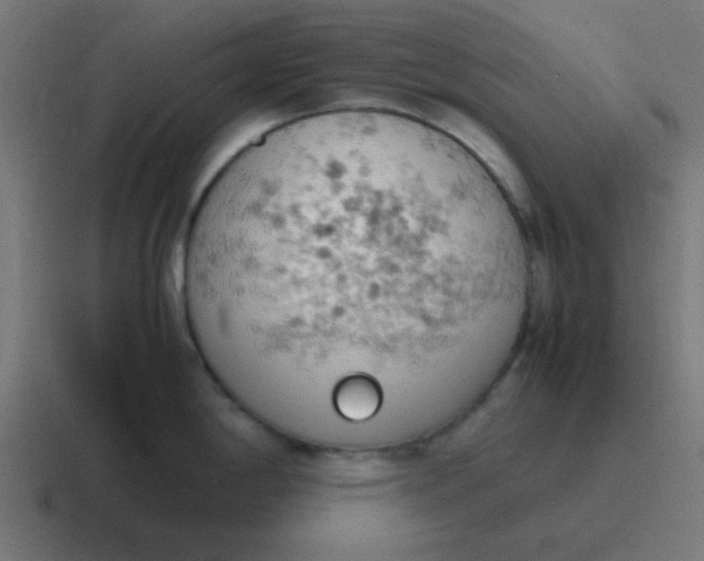 X0000116821198200912312009