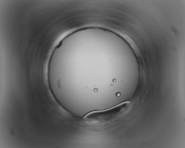 X0000116821199200912312009