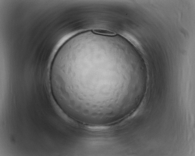 X0000116821200200912312009