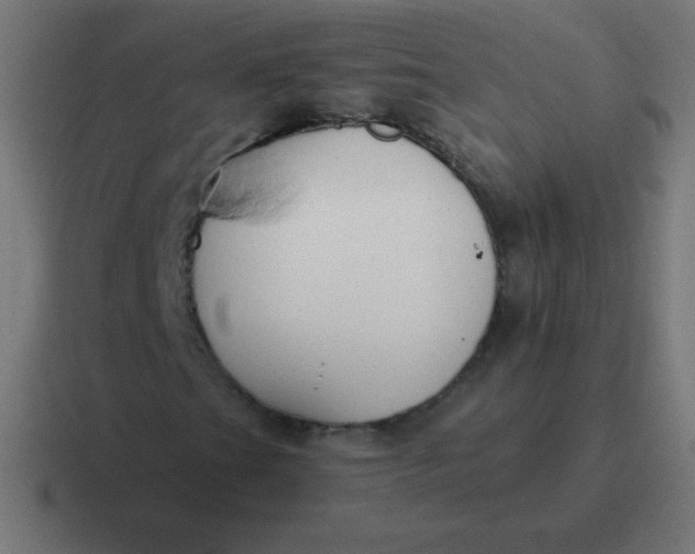 X0000116821201200912312009