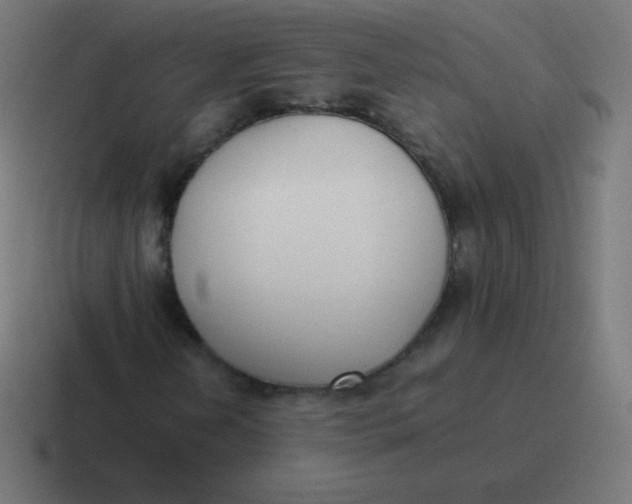 X0000116821202200912312009