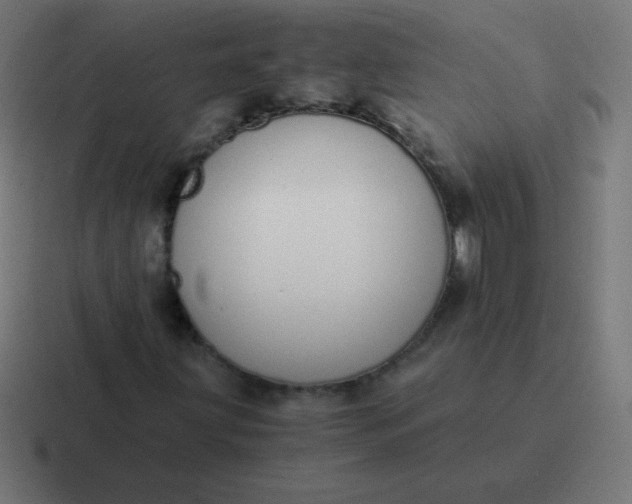 X0000116821203200912312009