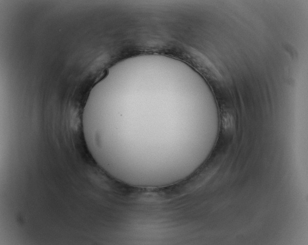 X0000116821204200912312009