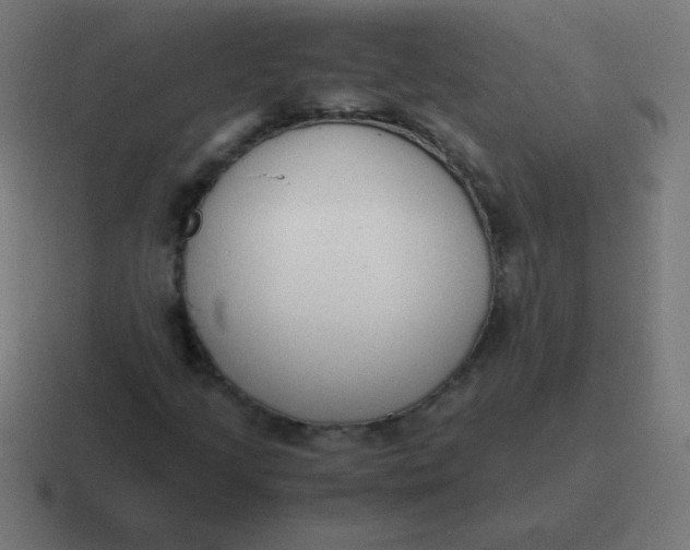 X0000116821205200912312009