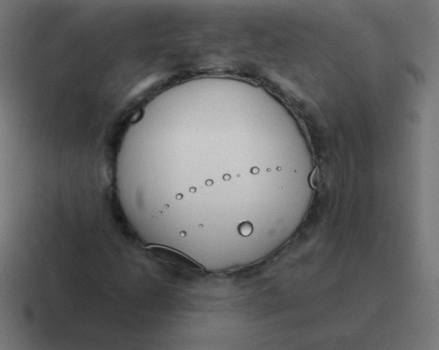 X0000116821206200912312009