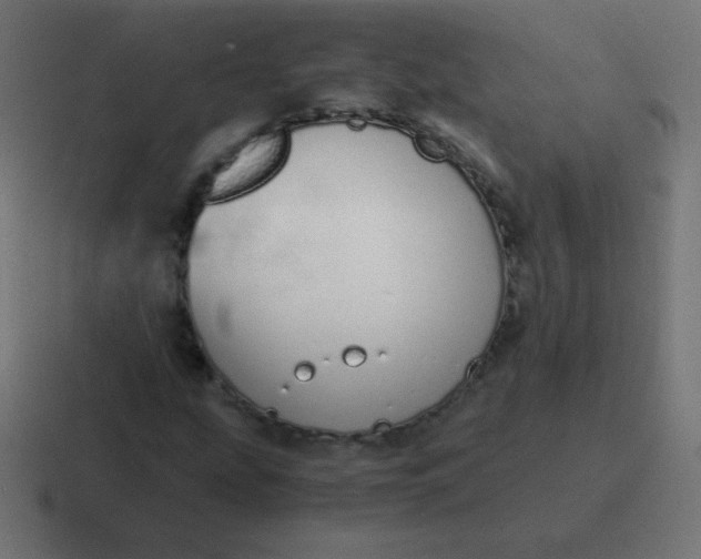 X0000116821207200912312009