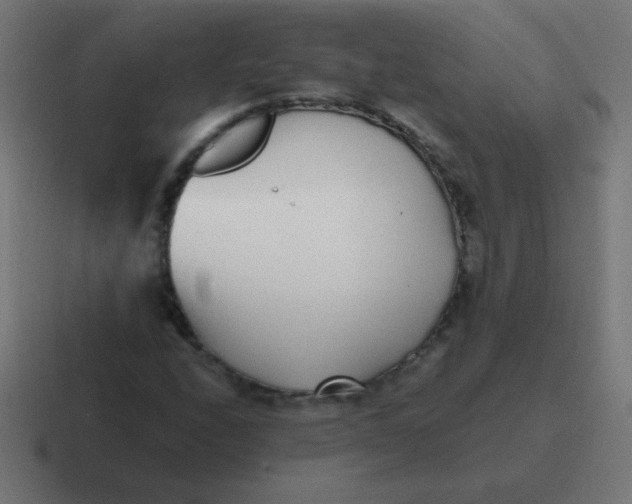 X0000116821208200912312009