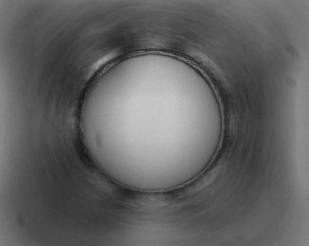 X0000116821210200912312009