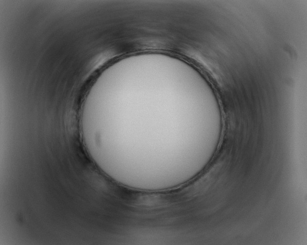 X0000116821211200912312009