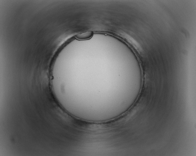 X0000116821212200912312009