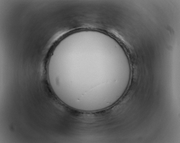 X0000116821215200912312009