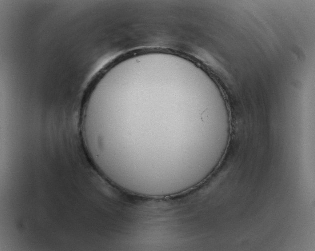 X0000116821216200912312009