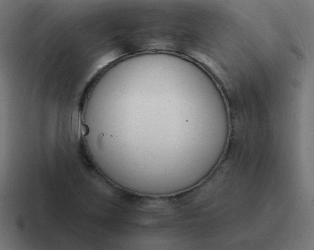 X0000116821219200912312009