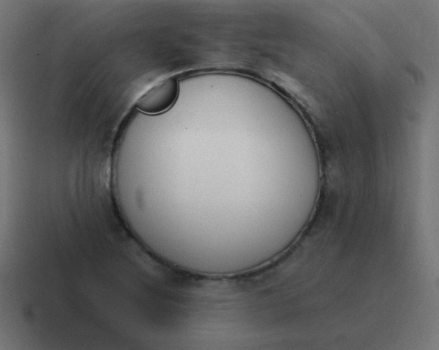 X0000116821220200912312009