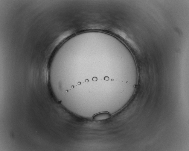 X0000116821221200912312009