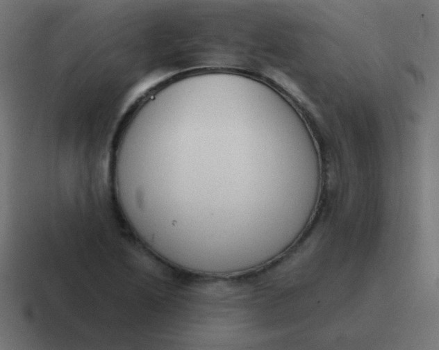 X0000116821222200912312009