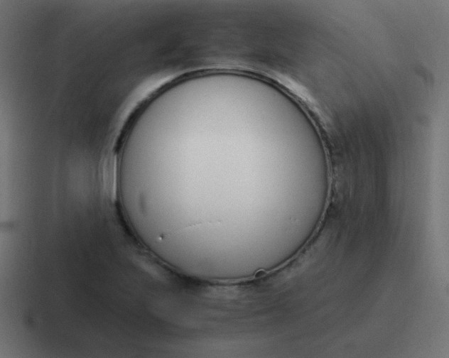 X0000116821223200912312009