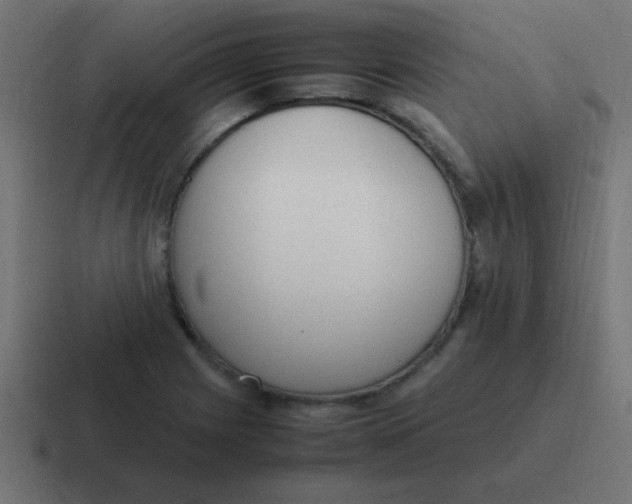 X0000116821225200912312009