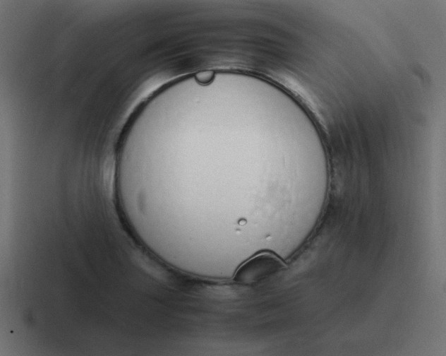 X0000116821227200912312009