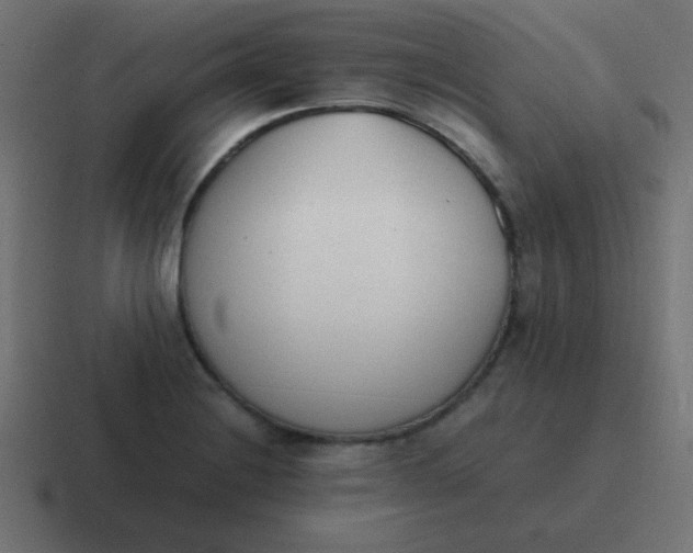 X0000116821228200912312009