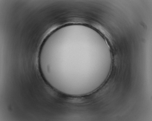 X0000116821229200912312009