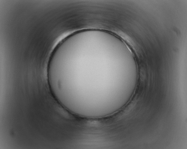 X0000116821230200912312009