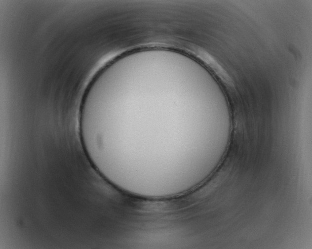 X0000116821232200912312009