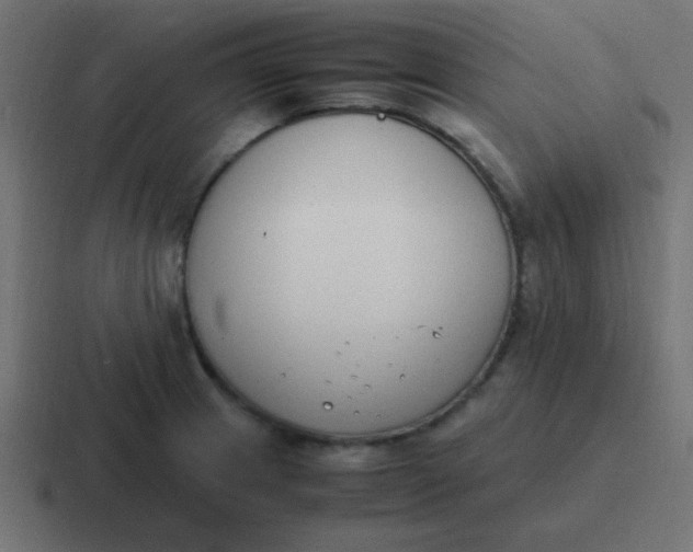 X0000116821233200912312009