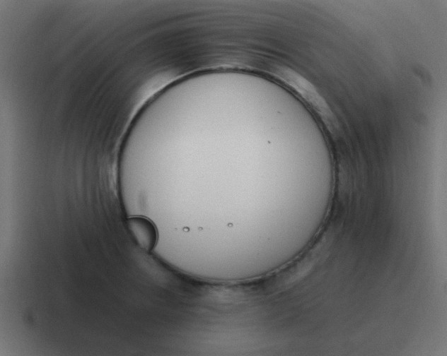 X0000116821234200912312009