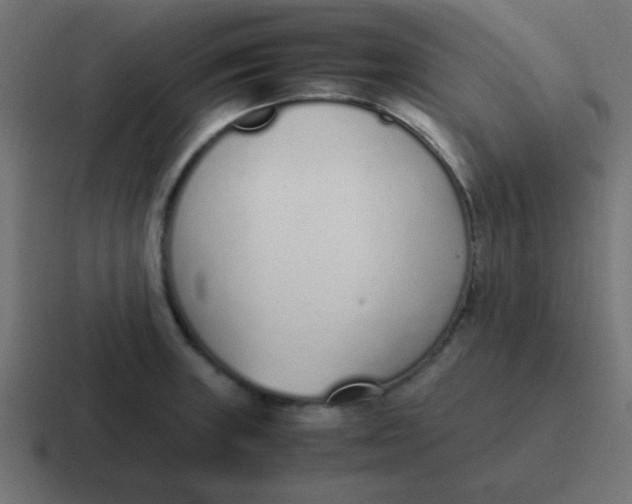 X0000116821235200912312009