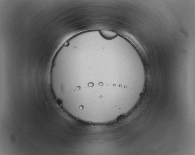 X0000116821236200912312009