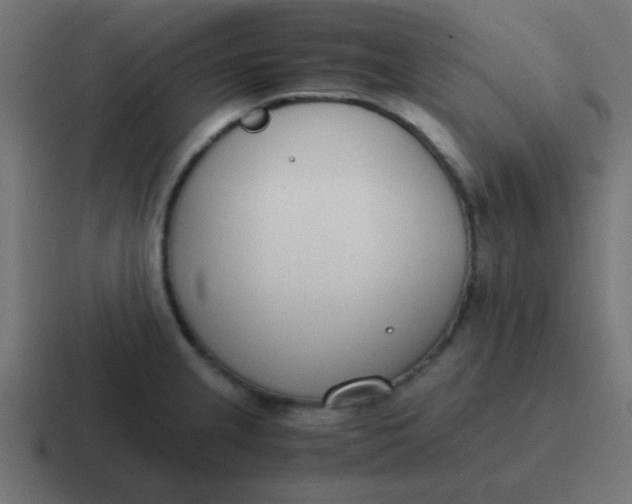 X0000116821237200912312009