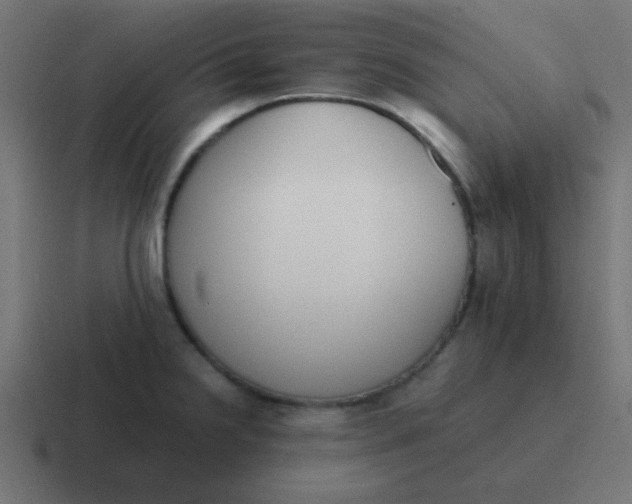 X0000116821238200912312009