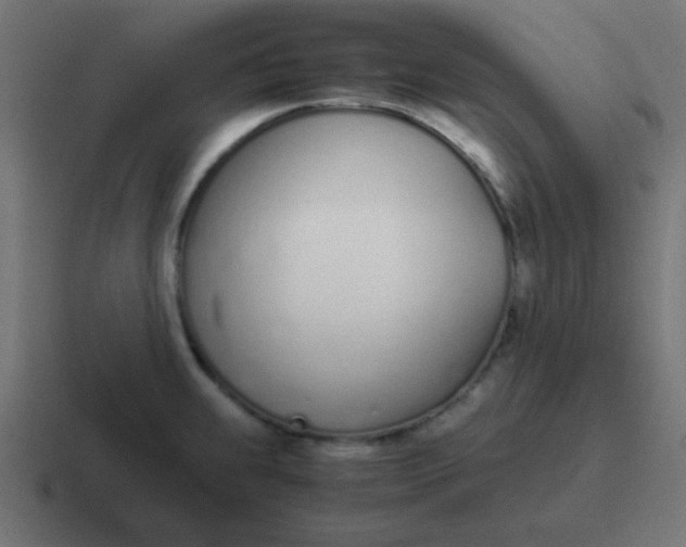 X0000116821239200912312009