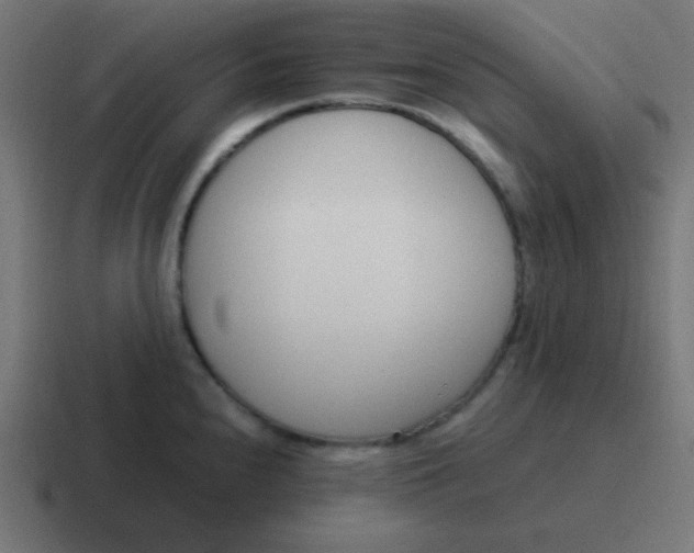 X0000116821240200912312009