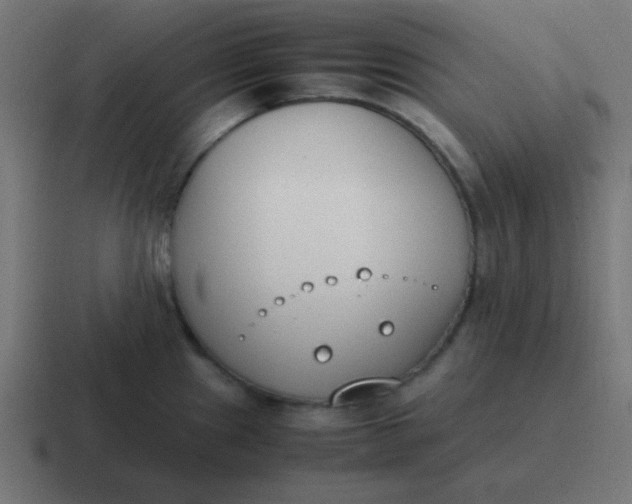 X0000116821241200912312009