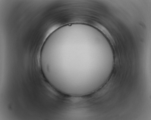 X0000116821242200912312009