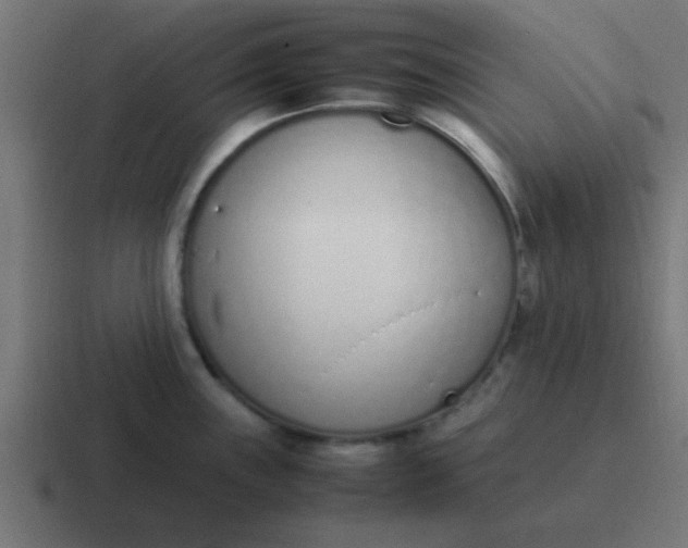 X0000116821243200912312009