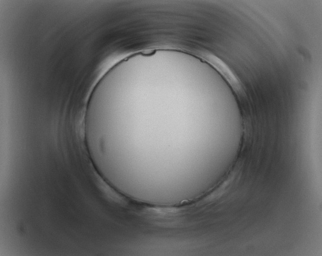 X0000116821244200912312009