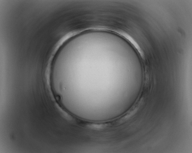 X0000116821245200912312009