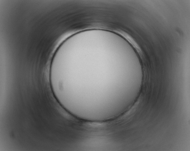 X0000116821246200912312009